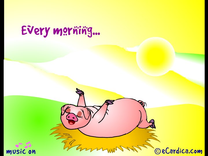Happy Pig Every Morning