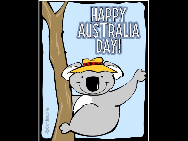 Happy Australia Day Koala eCard - free More Holidays greeting card