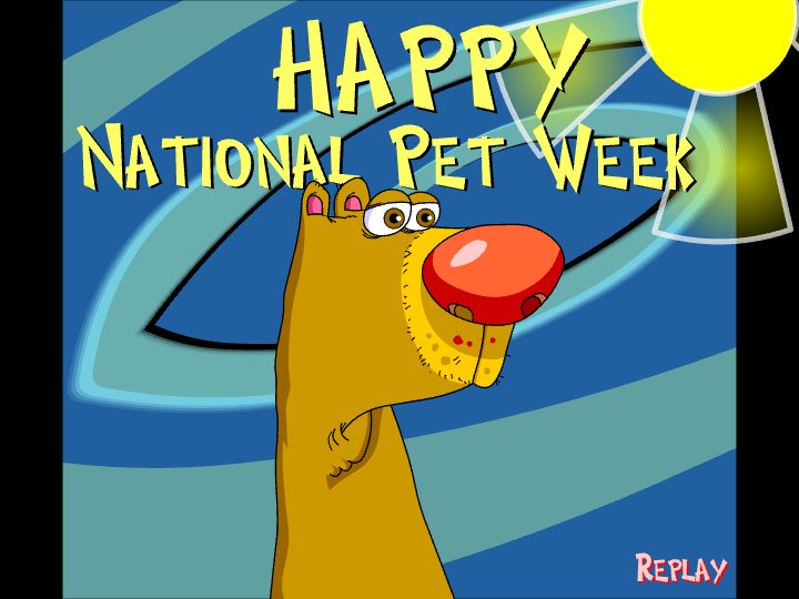 National Pet Week Goofy Bear