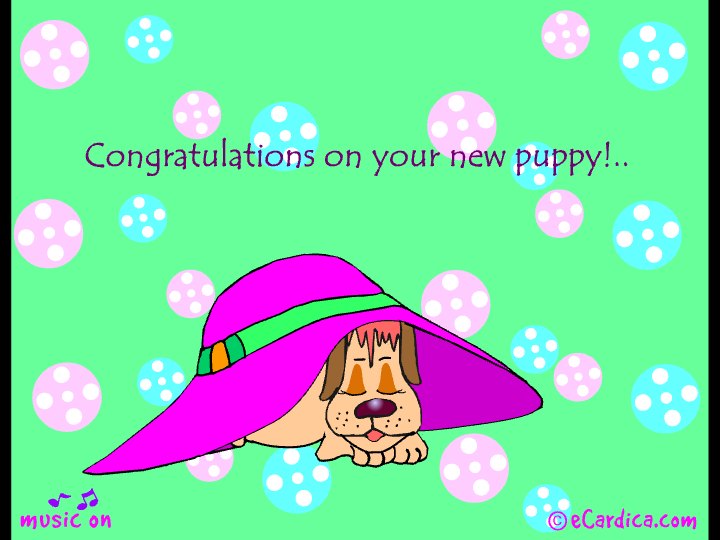 Congratulations On Your New Puppy