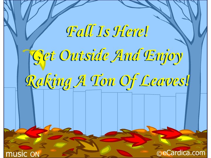 Fall Leaves
