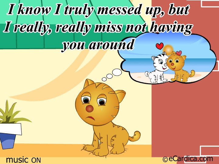 Sad Kitten Misses You