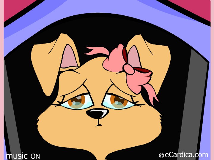 Sad Puppy Apology Sorry Card