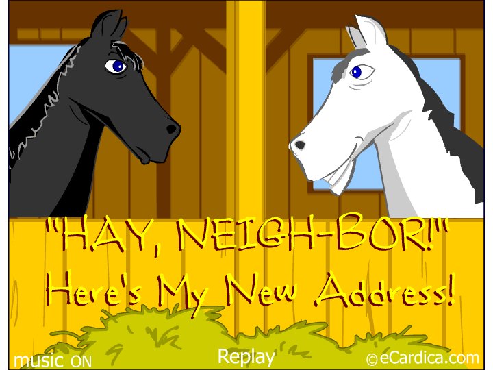 Hay Neighbor New Address Horses