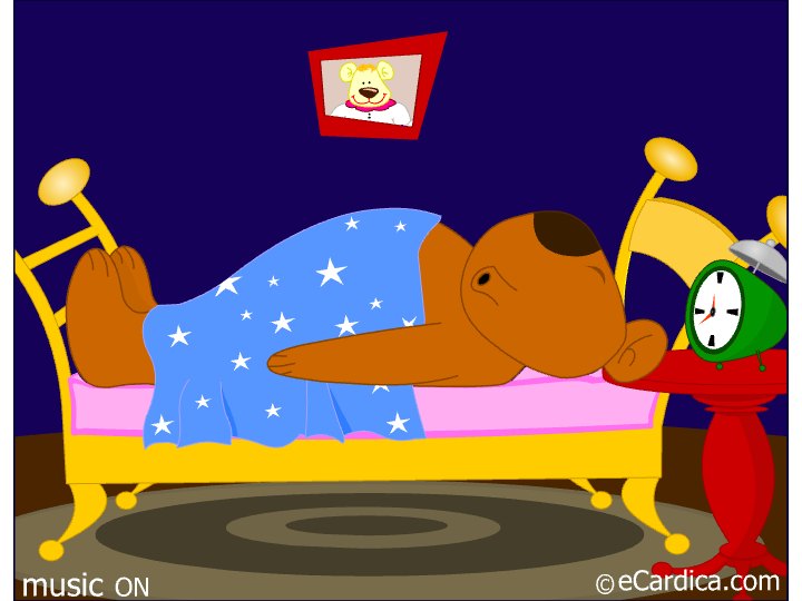 Bear Hibernation Is Over