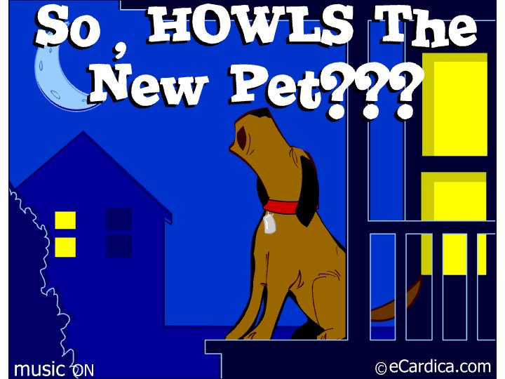 Howls The New Pet Dog