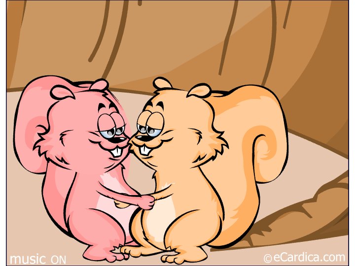 Squirrels In Love Is