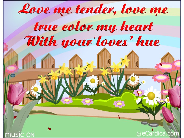 Love Me Tender Love Me True