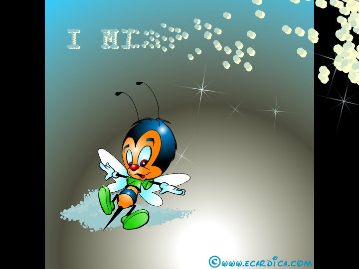 Sparkling I Miss You Bee