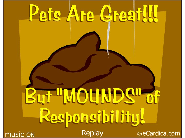 Pets Are Mounds Of Responsibility