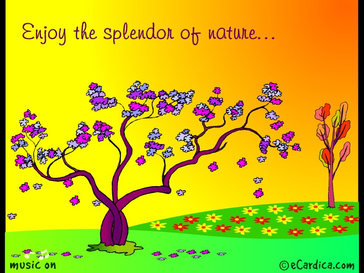 Nature's Splendor