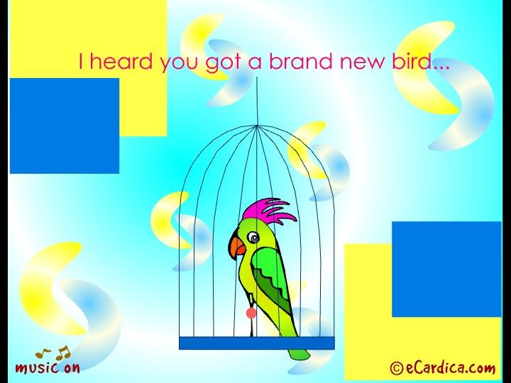 Brand New Pet Bird