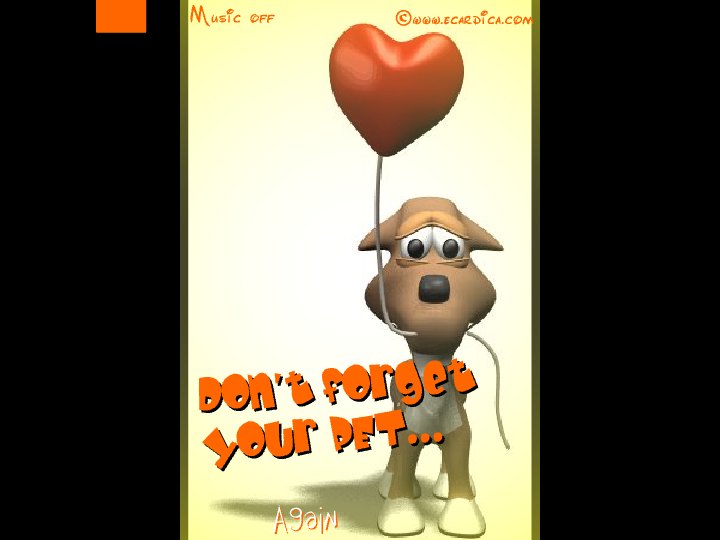 Dont Forget Your Pet Puppy Balloon eCard - free More Holidays greeting card