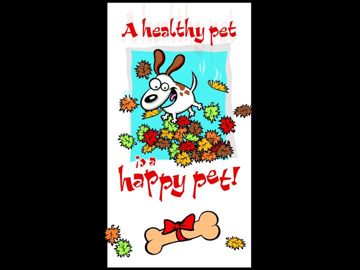 Happy Healthy New Pet Dog
