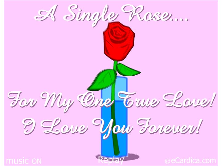 A Single Rose For My True Love