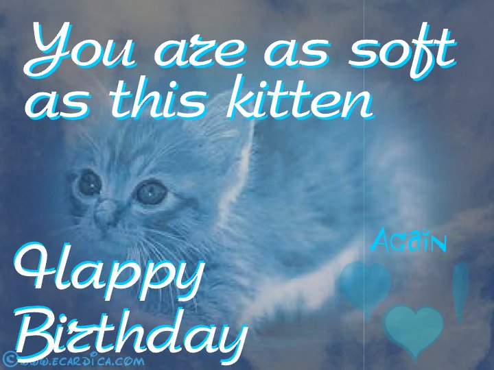 Soft As A Kitten Birthday eCard - free Just Because greeting card