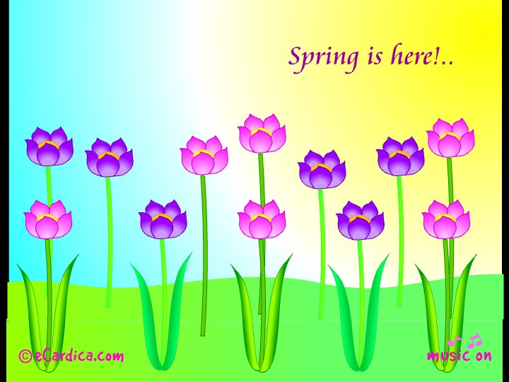 Spring Is Here Tulips eCard - free More Holidays greeting card