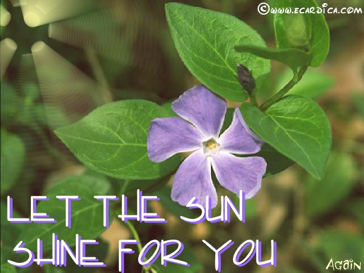 Let The Sun Shine For You eCard - free Just Because greeting card