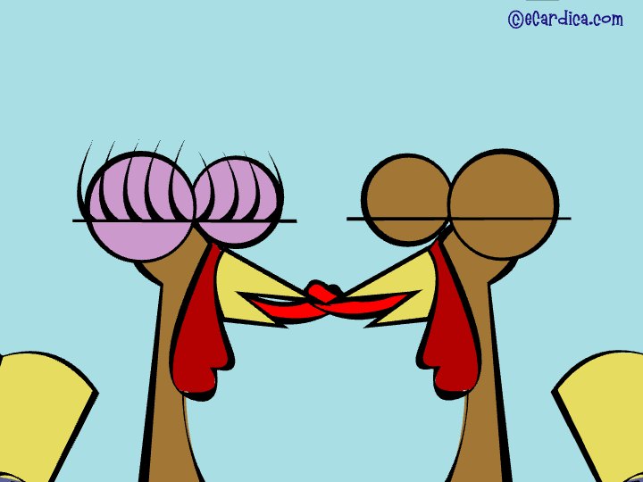 Two Turkeys In Love