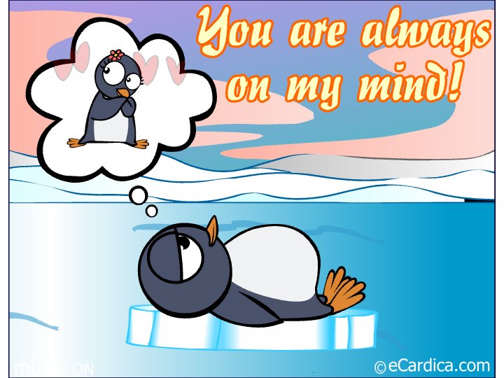 Penguin Always On My Mind