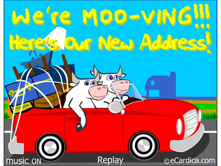 Were Moo-ving New Address Cows