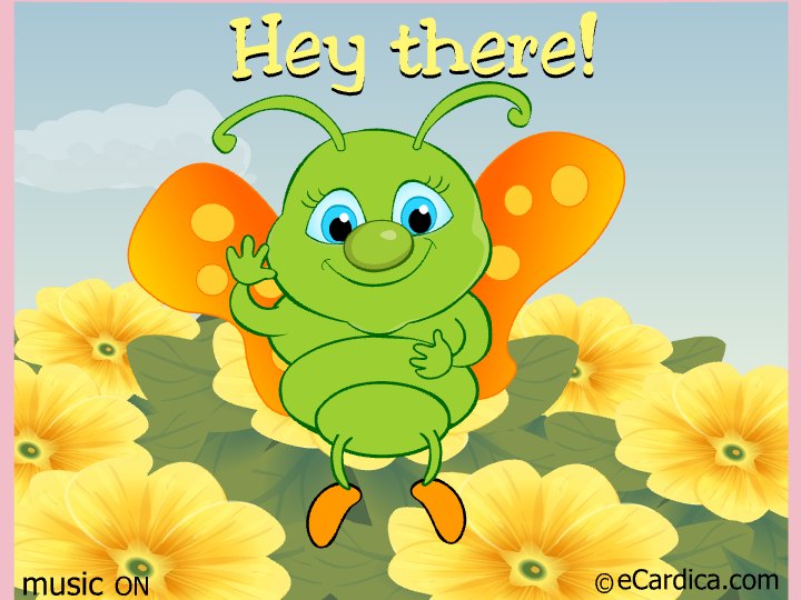 Cheerful Butterfly Hey There